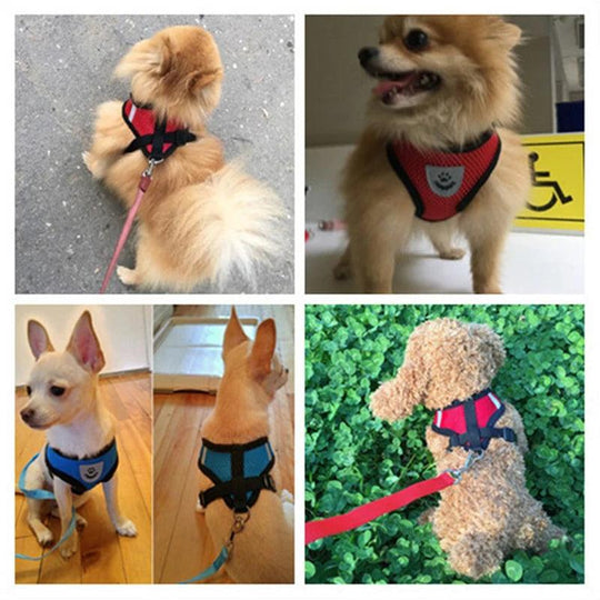 Adjustable Mesh Dog Harness with Leash for Small to Medium Pets - Comfortable and Reflective - My Canine Fashion