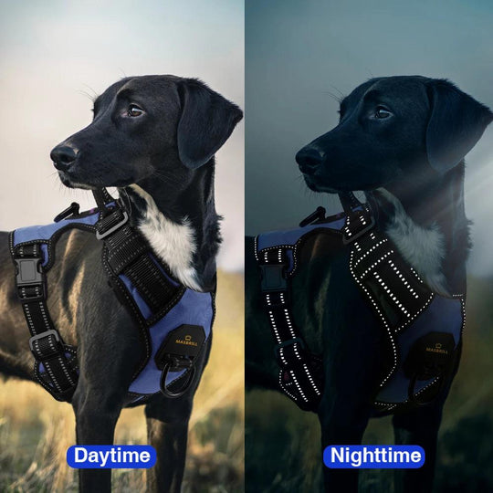 MASBRILL Reflective Nylon No-Pull Dog Harness for Medium to Large Breeds - - My Canine Fashion