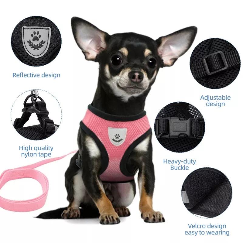 Adjustable Mesh Dog Harness with Leash for Small to Medium Pets - Comfortable and Reflective - My Canine Fashion