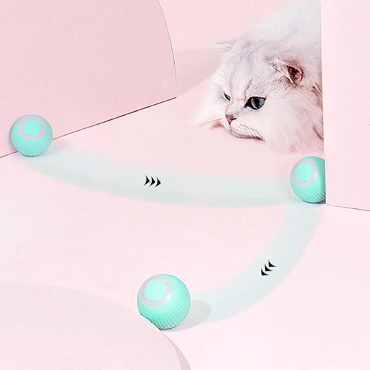 Interactive Smart Cat Toys - Self-moving Electric Rolling Ball for Engaging Indoor Play - My Canine Fashion