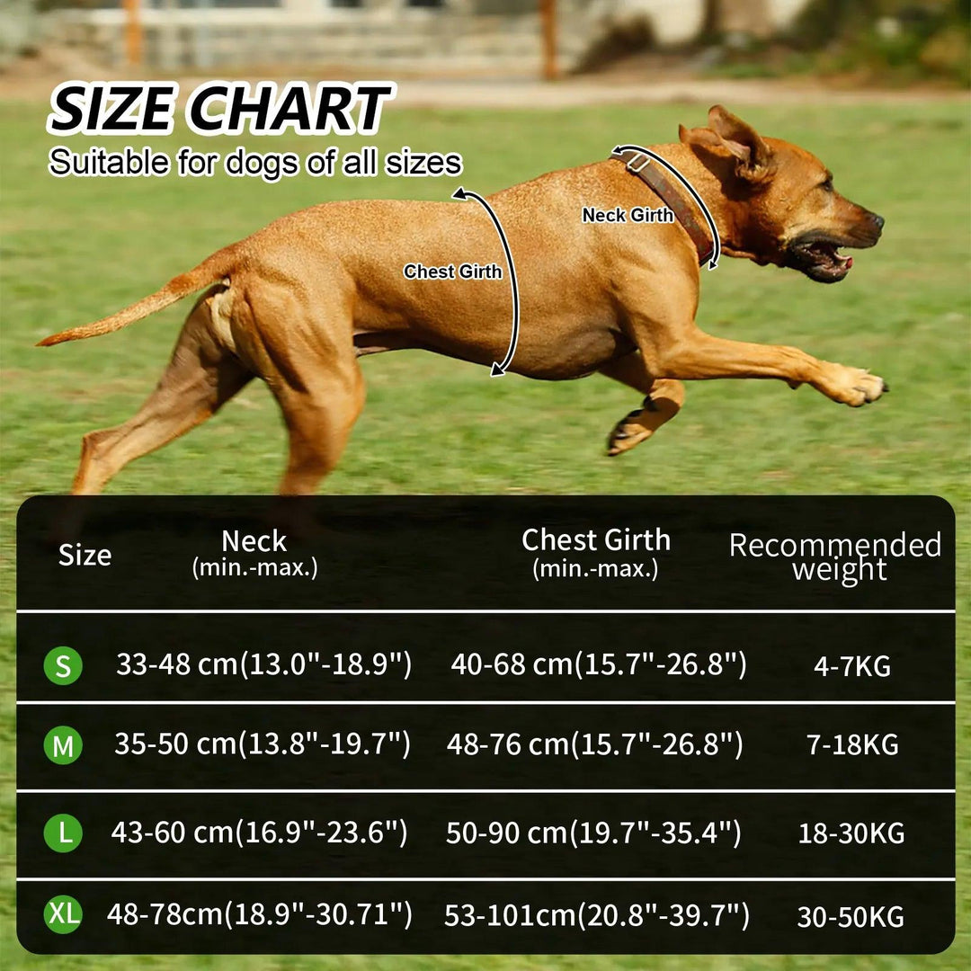 MASBRILL Reflective Nylon No-Pull Dog Harness for Medium to Large Breeds - - My Canine Fashion